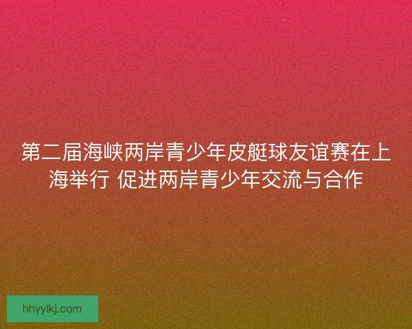 第二届海峡两岸青少年皮艇球友谊赛在上海举行 促进两岸青少年交流与合作