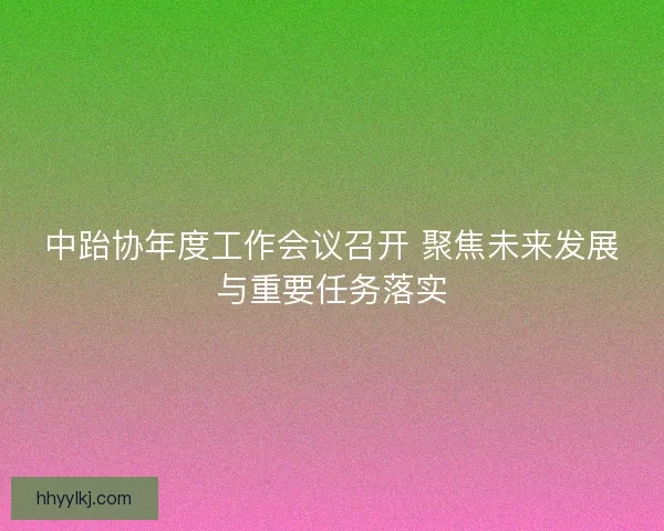 中跆协年度工作会议召开 聚焦未来发展与重要任务落实 中跆协年度工作会议召开 聚焦未来发展与重要任务落实
